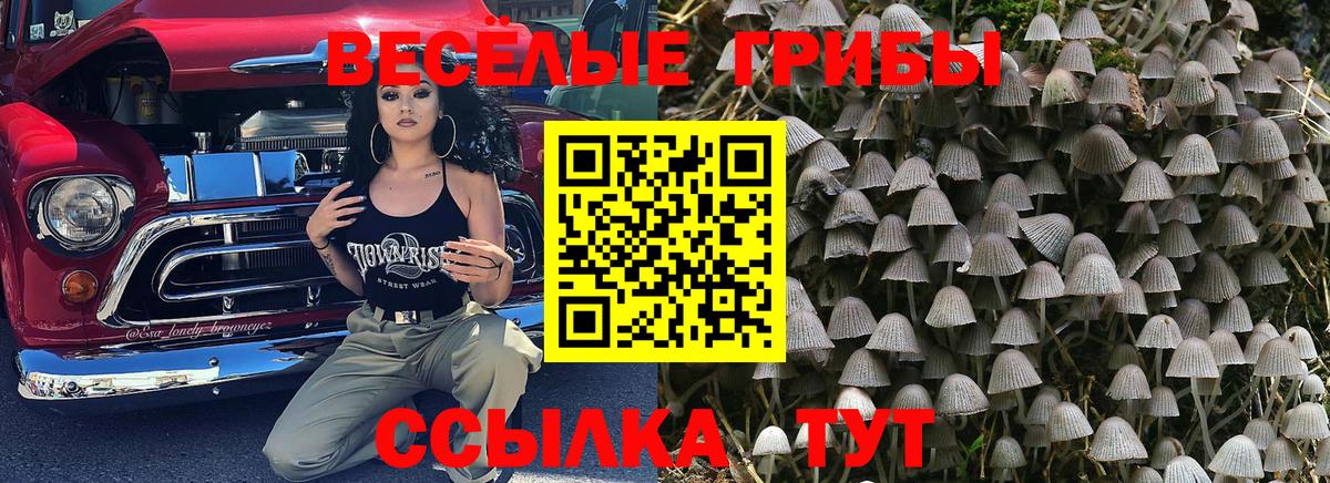 цены   Вход с VPN  Шелехов  Галлюциногенные грибы Magic Shrooms  Галлюциногенные грибы GOLDEN TEACHER 