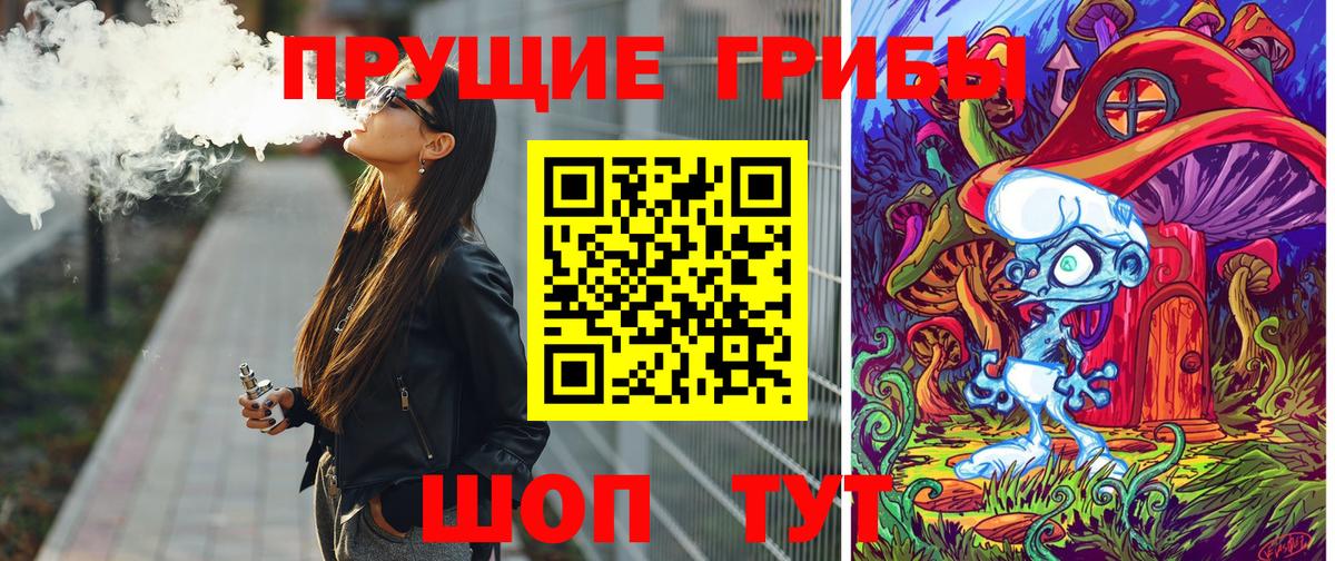 Псилоцибиновые грибы Psilocybine cubensis Шелехов